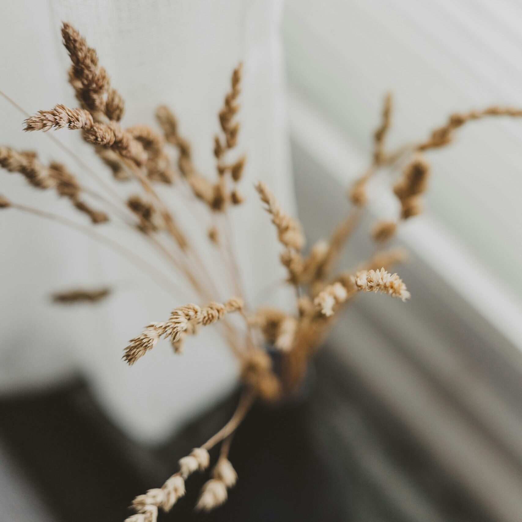 ellie-ellien-KH0CwR1y2hk-unsplash